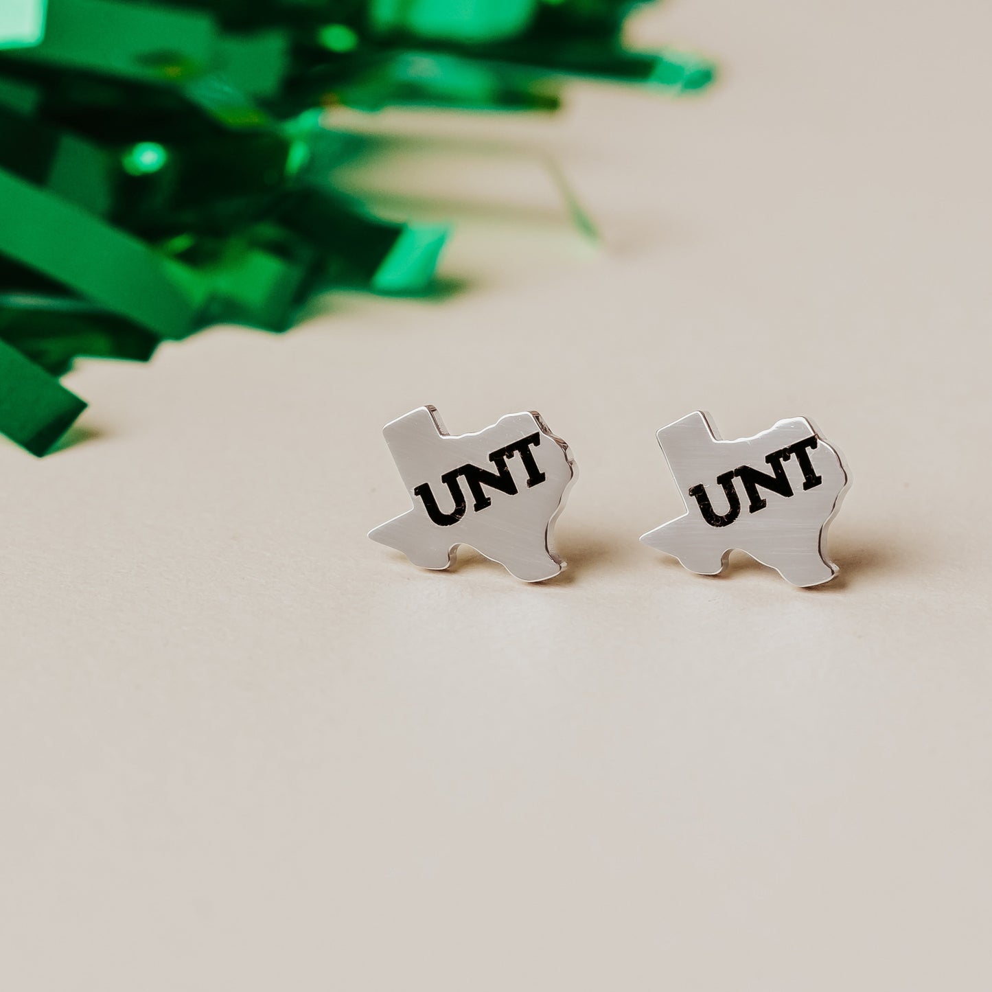 Silver Texas-shaped University of North Texas UNT stainless steel stud earrings 