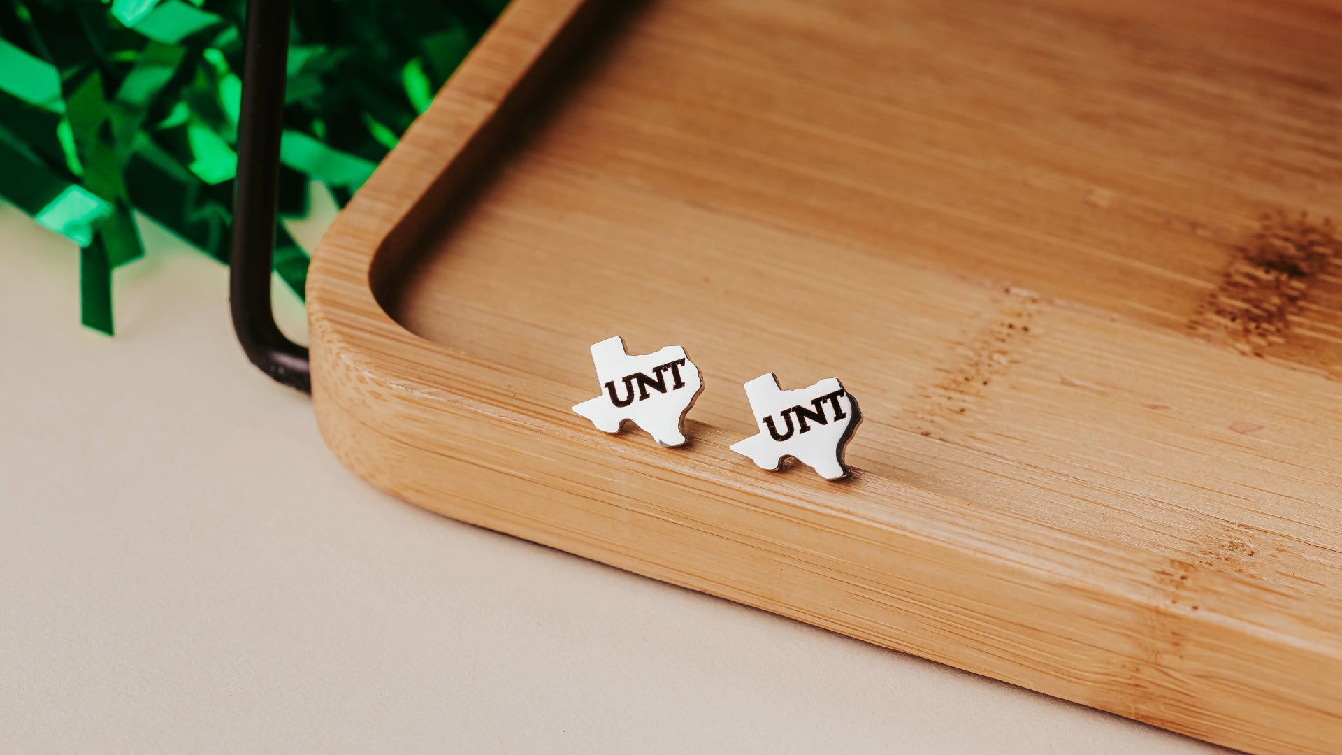University of North Texas Stainless Steel Studs by Half Turn Designs